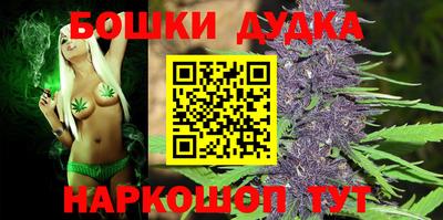 индика Бузулук