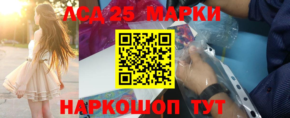 Новоалександровск  Лсд 25 экстази кислота  LSD-25 экстази кислота  Вход с VPN 