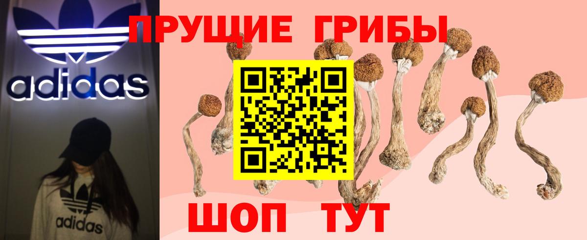 Псилоцибиновые грибы ЛСД Новоалександровск